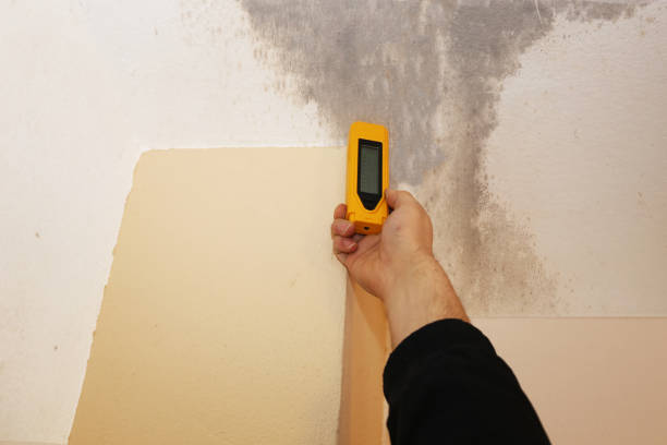 Trusted Hunters Creek Village, TX Mold Removal Experts