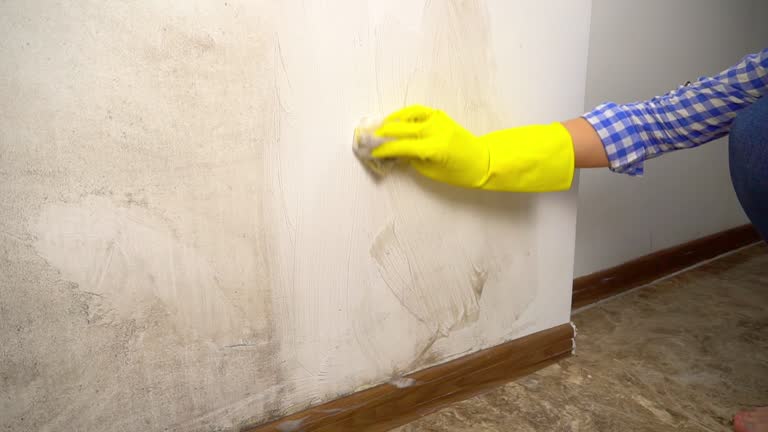 Best Residential Mold Inspection & Testing  in Hunters Creek Village, TX