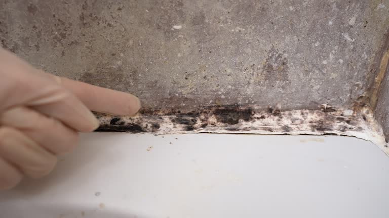 Best Mold Remediation for Healthcare Facilities  in Hunters Creek Village, TX